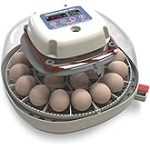 Harris Farms Nurture Right Egg Incubator with Auto Turner, Holds 22 Eggs | Holds 12-22 Eggs, Automatic Egg Turner, Temperature &amp; Humidity Control, 360&deg; Viewing Window, Ideal for Hatching Chicks
