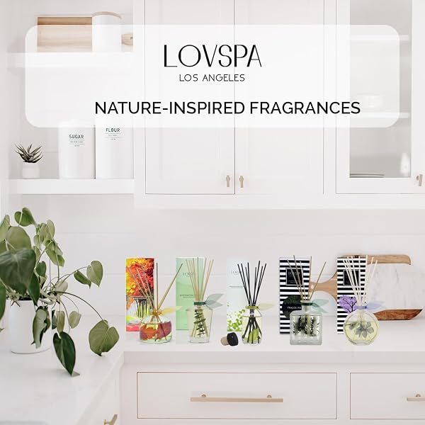 LOVSPA BIRCHWOOD PINE REED DIFFUSER SET, LIVING ROOM DECOR, HOME FRAGRANCE