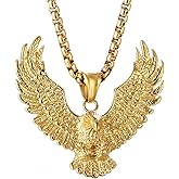 JAJAFOOK Mens Cool Gothic Tribal Stainless Steel Hawk Eagle Pendant Necklace, 20 inch Chain,Silver-Tone with Black