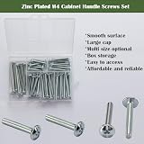 AMLOOPH M4 60-Pack Cabinet Screw Assortment 25-50mm Zinc Plated view 2