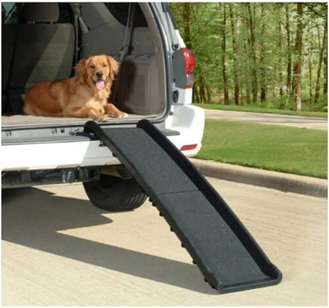 dog ramp for caravan