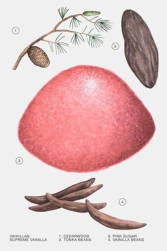 Zara Supreme Vanilla Perfume for Women EDP Eau De Parfum 30 ML