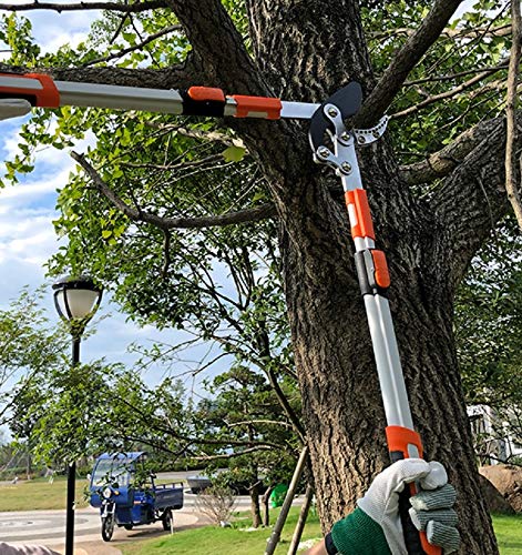 ML Amboss-Astschere mit Teleskopgriff inklusive schnittfesten Handschuhen. Gartenschere für alle Arten von Holz. – Bild 4