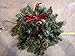 Nantucket 22 inch Lighted Christmas Wreaths - 3 Wreath Set