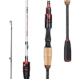 Sougayilang Fishing Pole, 2PC Spinning Rod with EVA