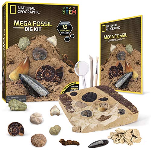 kids dig kit