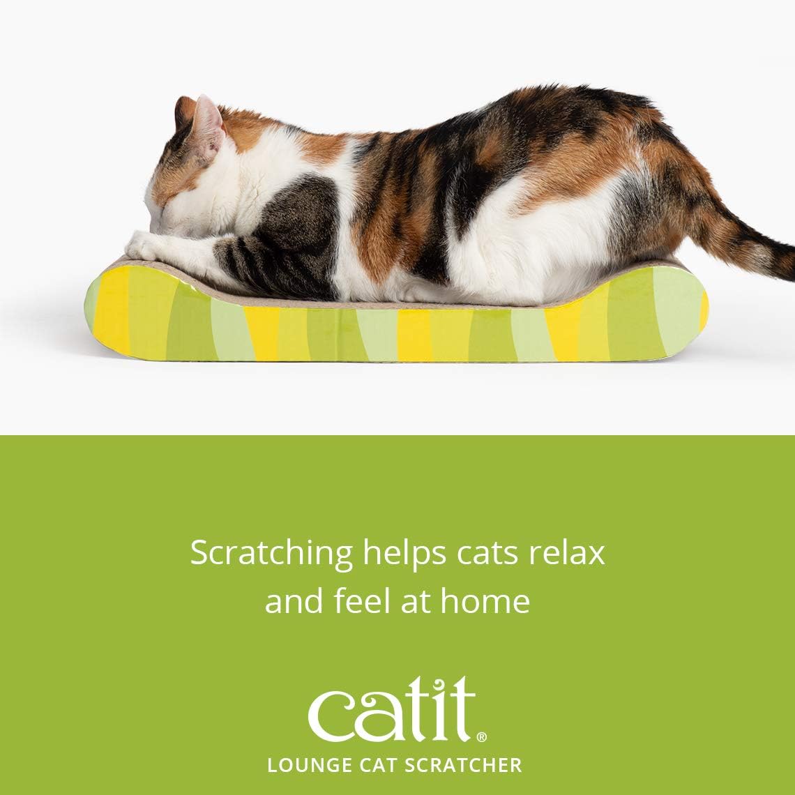 Catit Style Scratcher with Catnip - Jungle-Stripe Lounge : Scratching Posts : Pet Supplies
