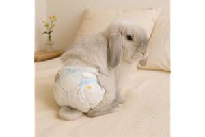HEYPOMAX Leakproof Bunny Diapers – Disposable Pet Diaper for Rabbits, Great for Incontinence, Surgery, and Potty Accidents (Pack of 10/3 Pack,XXS Size (Recommended for 1-3 lbs))