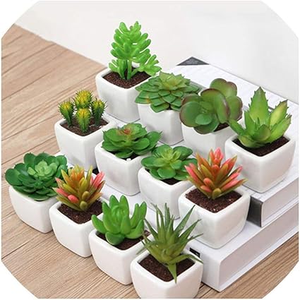 Amazon 人工多肉植物 サボテン ミニ鉢植え植物 デスク装飾 フェイクプラスチック植物 ホームデコレーション ランダム10個 人工観葉植物 オンライン通販