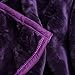 Lavish Home Purple Solid Soft Heavy Thick Plush Mink Blanket 8 Pound