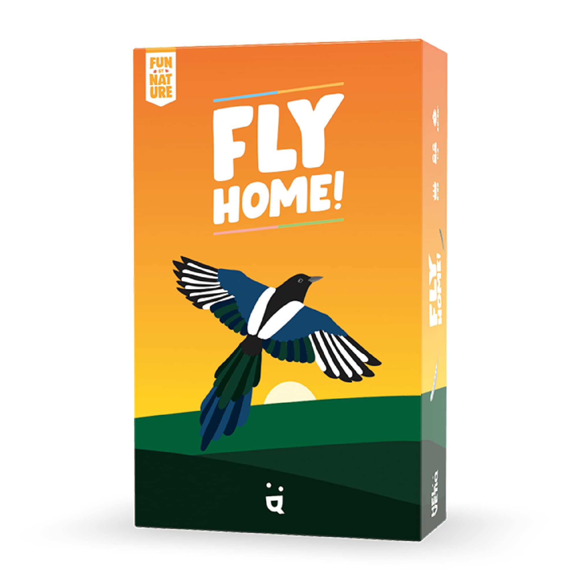Helvetiq | Fly Home | Card Game | Ages 6+ | 2-4 Players | 30-60 Minutes Playing Time