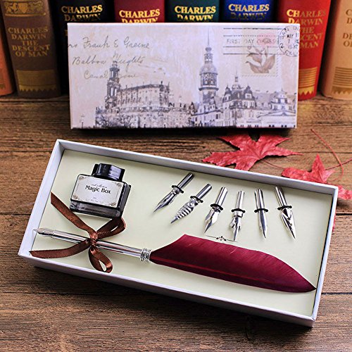 Antique writting quill feather pen gift set with 6pcs metal nibbe…