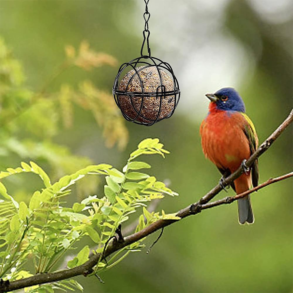 View 5