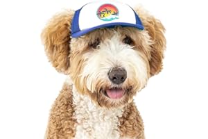 PupLid Trucker Hats for Dogs (Small) Premium Stylish Sun Protection for The Modern Dog - Adjustable for Secure Comfortable Fit on Active Dogs (Blue, Surfer Dog)