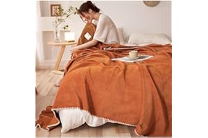 BOHOPOPM Luxury Softness Cozy Milk Flannel Velvet Waffle Weave Blanket, Pet Cat Feel, Nordic Modern Aetec Style, Lightweight 