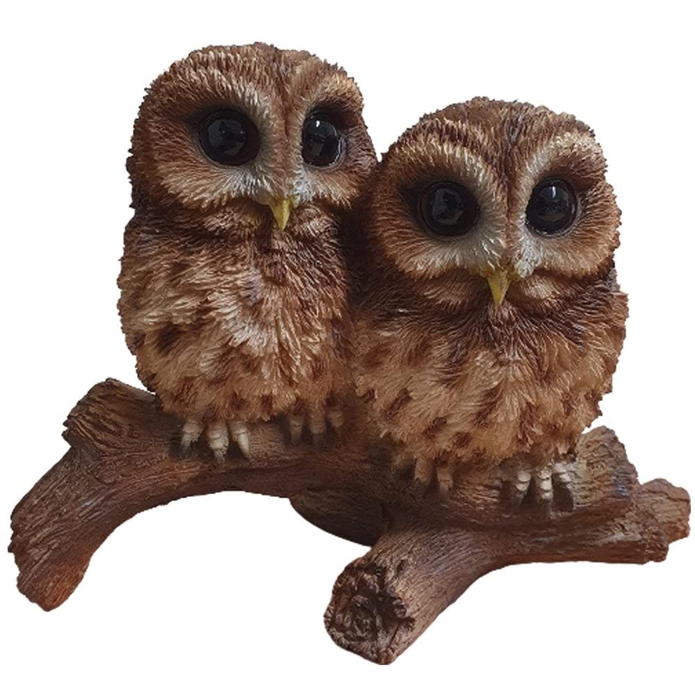 Vivid Arts Tawny Owls on Branch | Resin Home or Garden Decoration | BG-TWNY-D