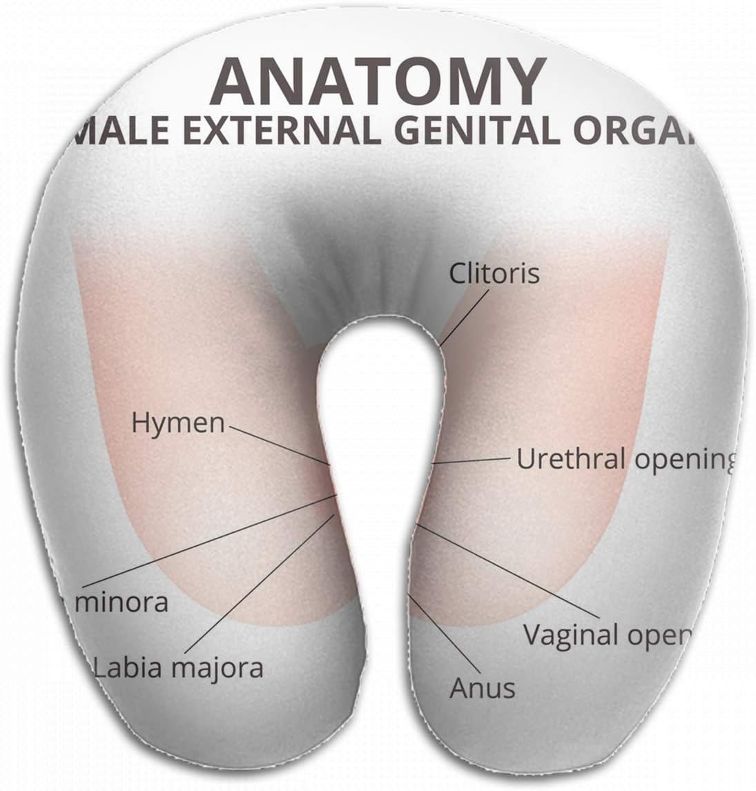 Emvency U-Shaped Travel Neck Support Pillow Structure Female External Genitalia Medical Airplane 12x11.5 Inch Soft U-Pillows with Rebound Material for Kids Adults