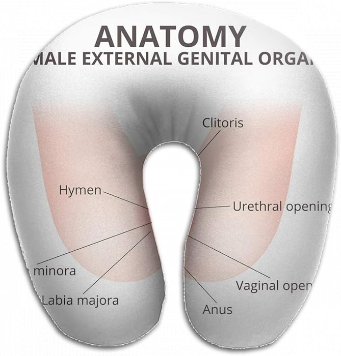 Emvency U-Shaped Travel Neck Support Pillow Structure Female External Genitalia Medical Airplane 12x11.5 Inch Soft U-Pillows with Rebound Material for Kids Adults