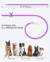Joytale Light Up Dog Collar Purple LED Rechargeable 70cm Size Adjustable view 6