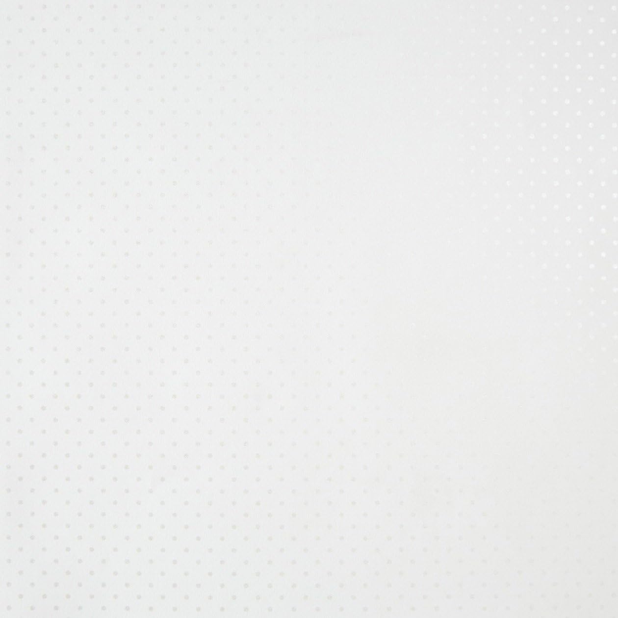 Caselio Only Girl 61992000 Polka Dot Wallpaper in White Background and Drawings Silver