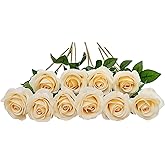 DuHouse 10pcs Fake Roses Artificial Silk Flowers Faux Rose Flower Long Stems Bouquet for Arrangement Wedding Centerpiece Party Home Kitchen Decor (Light Champagne)