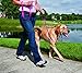 PetSafe Gentle Leader No-Pull Dog Headcollar - The Ultimate Solution to Pulling - Redirects Your Dog's Pulling for Easier Walks - Helps You Regain Control - Large, Raspberry Pink