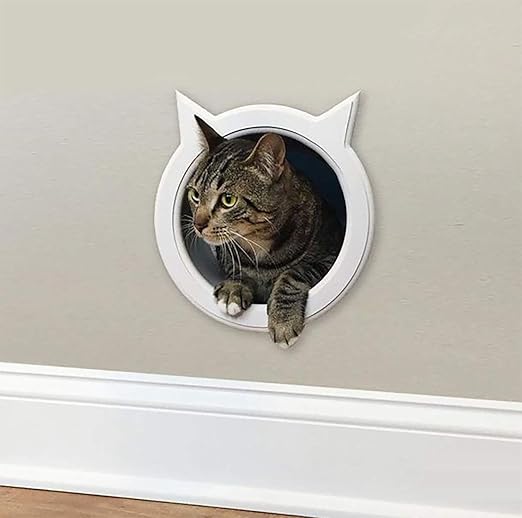 amazon cat tunnel