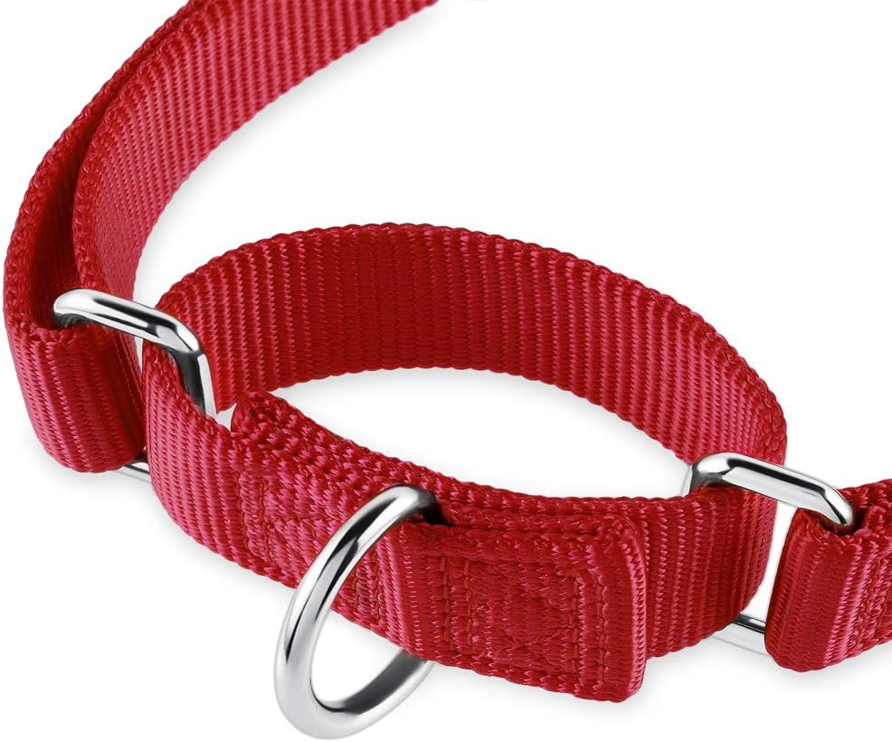 Hyhug Strong Nylon Non - Escape Martingale Dog Collar for Large Breeds Boy and Girl Dogs - Walking Training Daily Use. (Large, Red) - Image 3