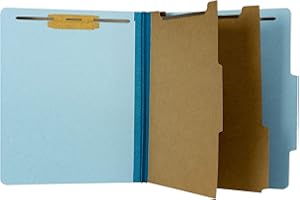 The File King Classification Folders 2 Dividers Letter Size - Pale Blue, 10 Pack | Pressboard Classification Folder | 2-Inch Expansion | Made in USA | Medical File Folders with Dividers and Prongs