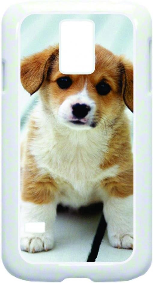 Amazon Com Cute Little Puppy Color Hard White Snap On Plastic Case For The Samsung Galaxy S5 I9600 Case amazon com