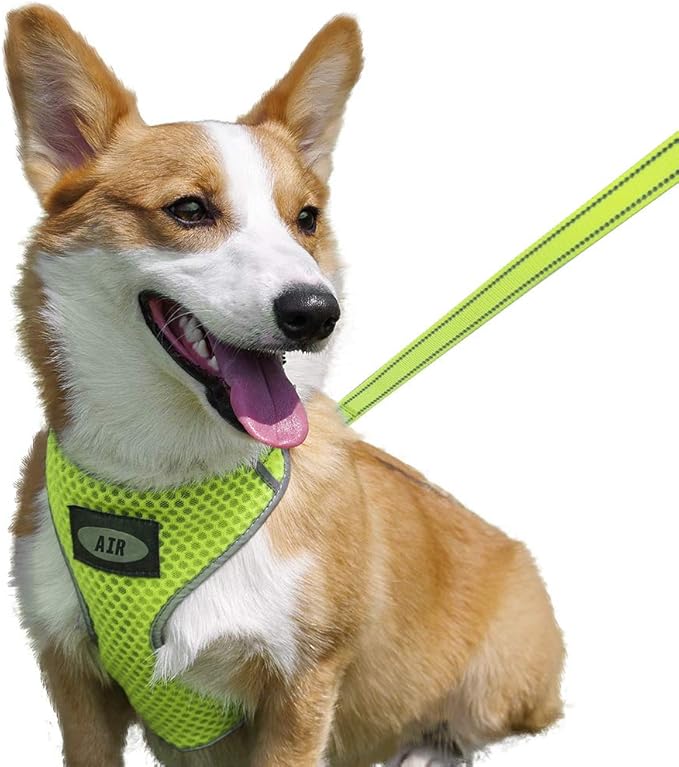 AIR Dog Harness Leash Set, Puppy Leash Harness, NoChoke Dog Harness