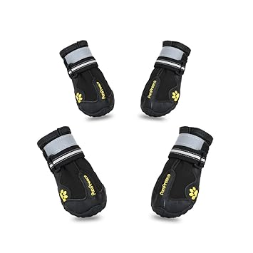 scarpe trekking cane