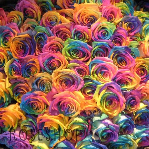 Amazon レインボーローズ 虹バラ 0本の花束 キラキラ白いかすみ草付き 花言葉 奇跡 誕生日 お祝いに 花束 オンライン通販