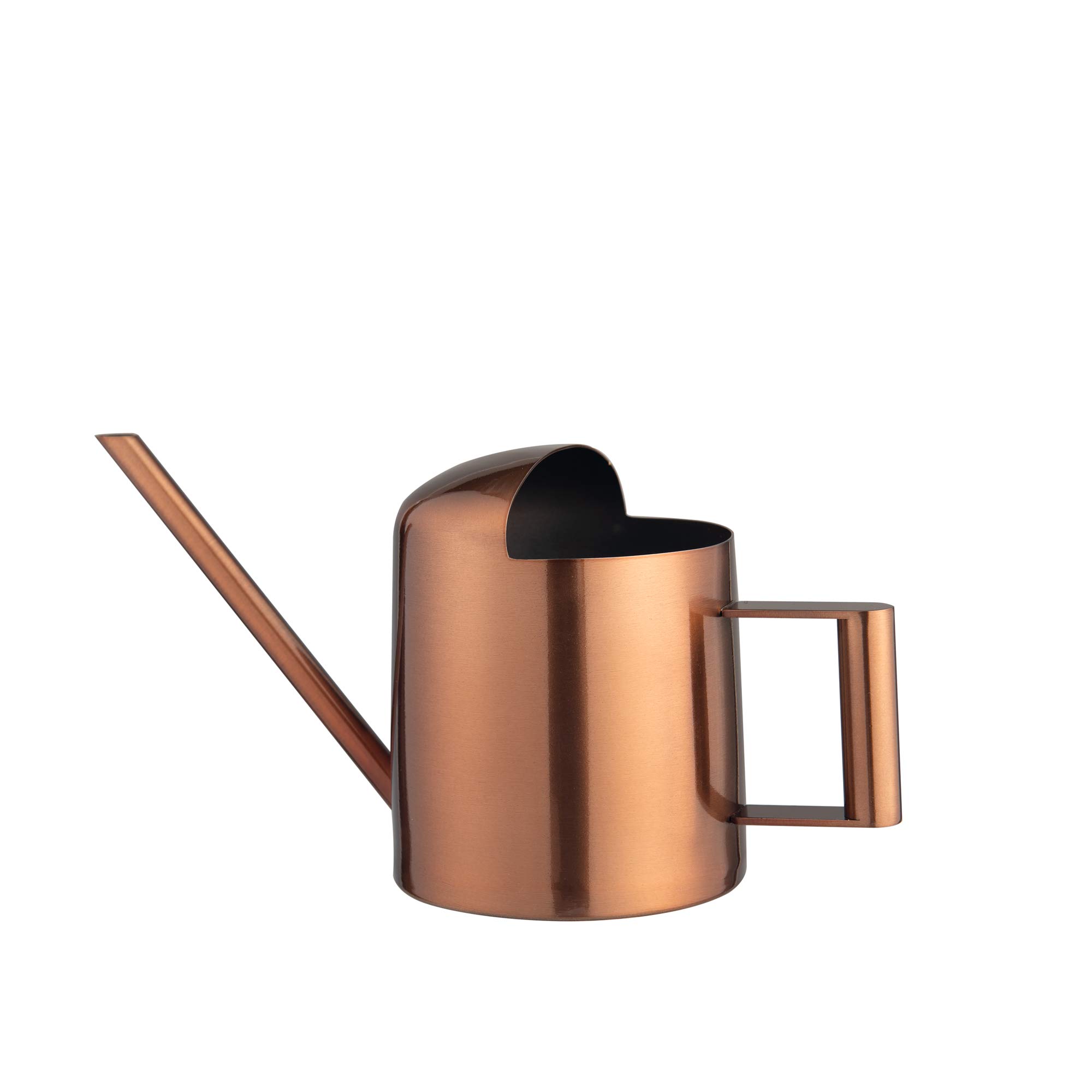 IMEEA 11oz/300ml Mini Watering Can Stainless Steel Super Tiny Water Can for Succulents Indoor Desk Office Bonsai(Copper)