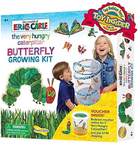 Insect LoreThe Very Hungry Caterpillar Butterfly Growing Kit