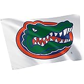 Desert Cactus University of Florida 100% Polyester Indoor Outdoor 3x5 feet Banner UF Gators (Flag H)
