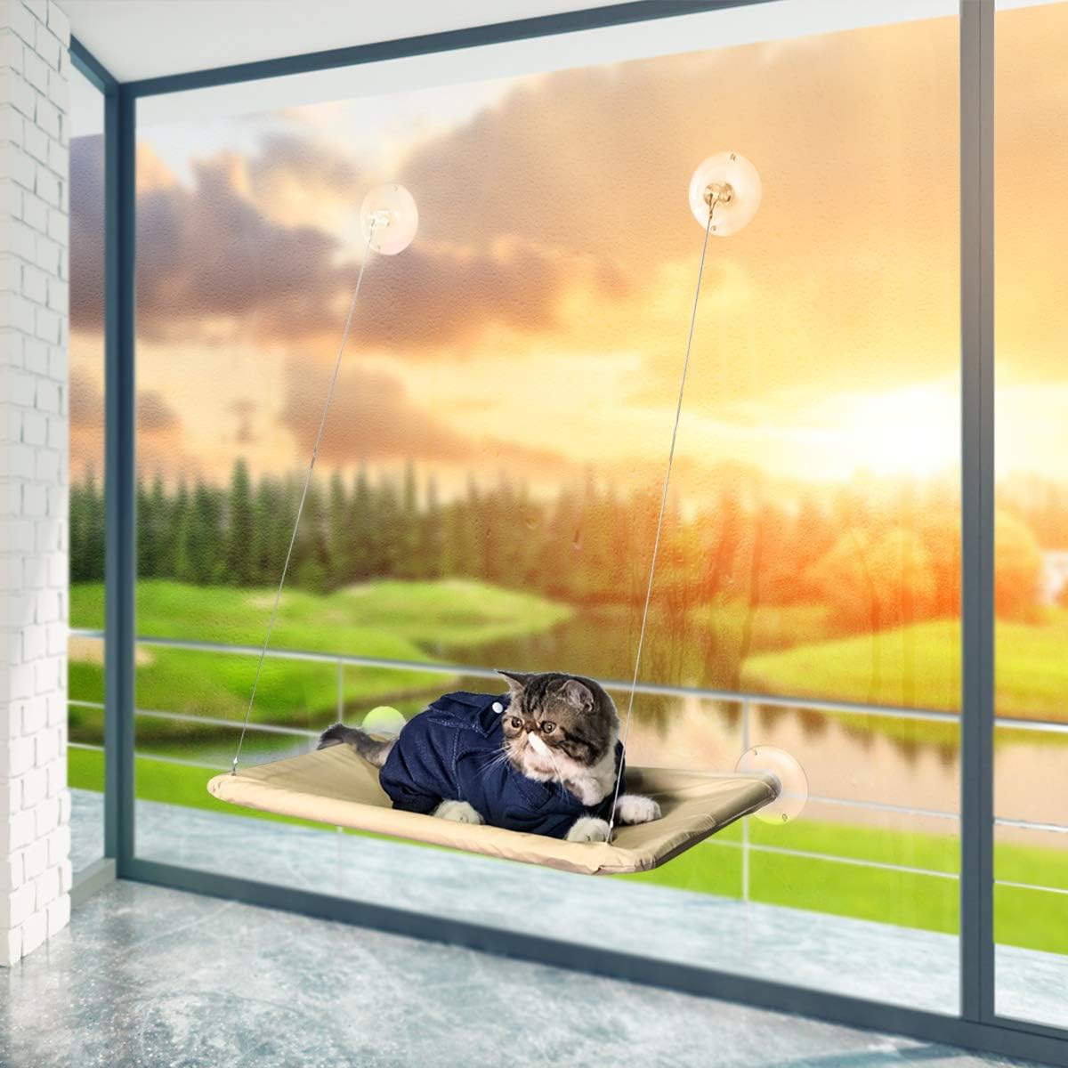 NOYAL Cat Resting Seat Perch Window Hammock Cats Kitty Safety Bed with Durable Heavy Duty Suction Cups Cat Bed Holds Up to 30lbs(Extra 2 Suction Cups) : Pet Supplies