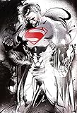Trends Intl. Man of Steel Poster, 24-Inch by 36-Inch