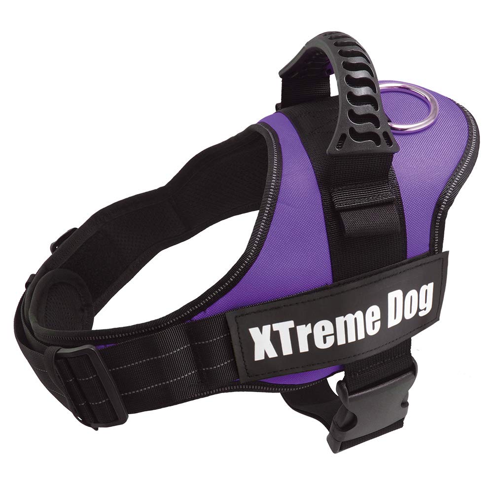 Arquivet Xtreme Dog Harness Lilac – Size: L/70-95 cm