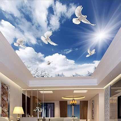Amazon Com Xbwy Blue Sky And White Clouds Pigeon Ceiling Mural