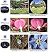 5StarPrime Phone Camera Lens Kit - 9 in 1 Macro Zoom, Super Wide Angle, Telephoto, Fisheye, CPL, Kaleidoscope, Starburst - Compatible with iPhone, Samsung, Android Phone Tablet