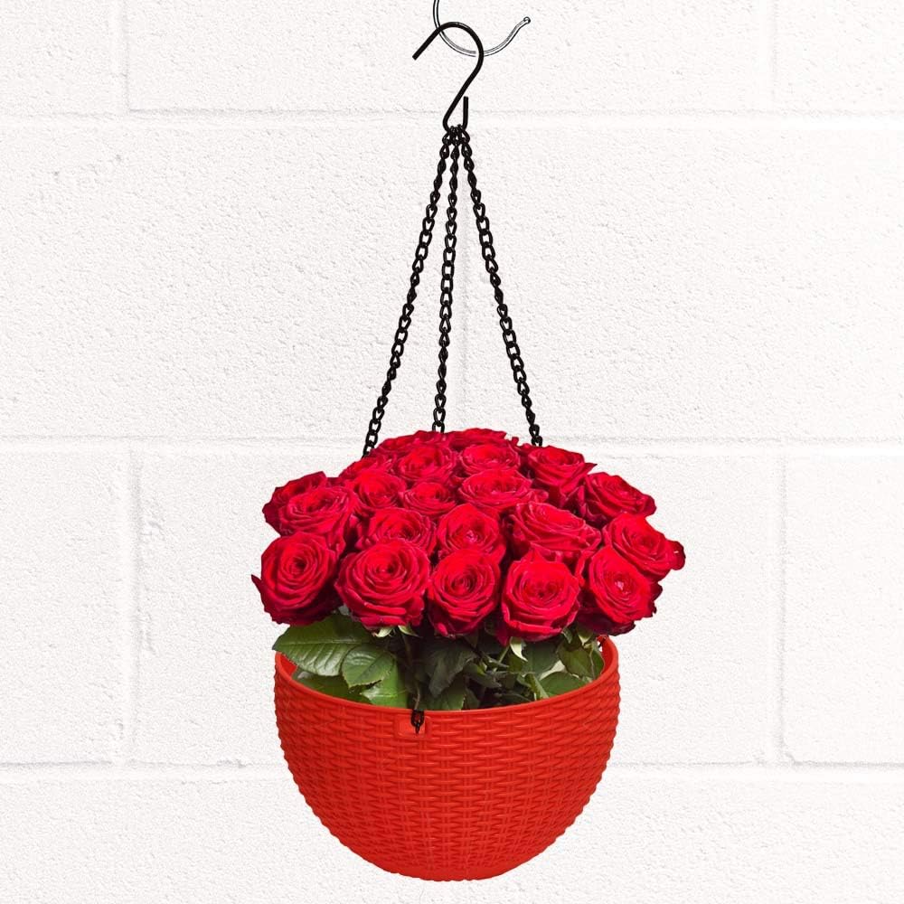 Macmostore Hanging Flower Pot Plants Planters, Balcony, Garden Indoor and Outdoor Plastic