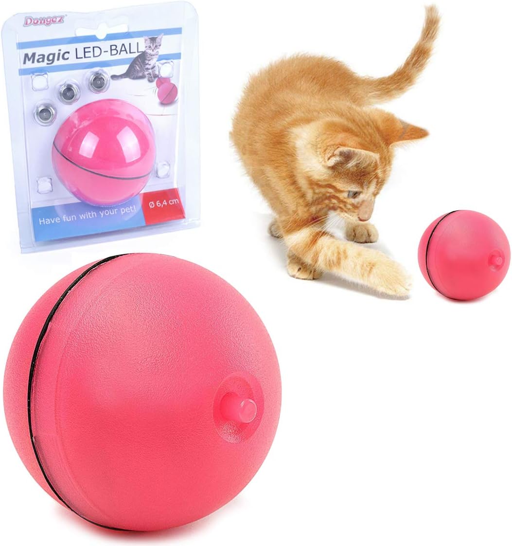 magic led ball cat
