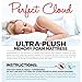 Perfect Cloud Made in The USA UltraPlush Charcoal-Infused 10-inch Memory Foam Mattress - Pressure Relieving - Bed-in-a-Box (Twin)