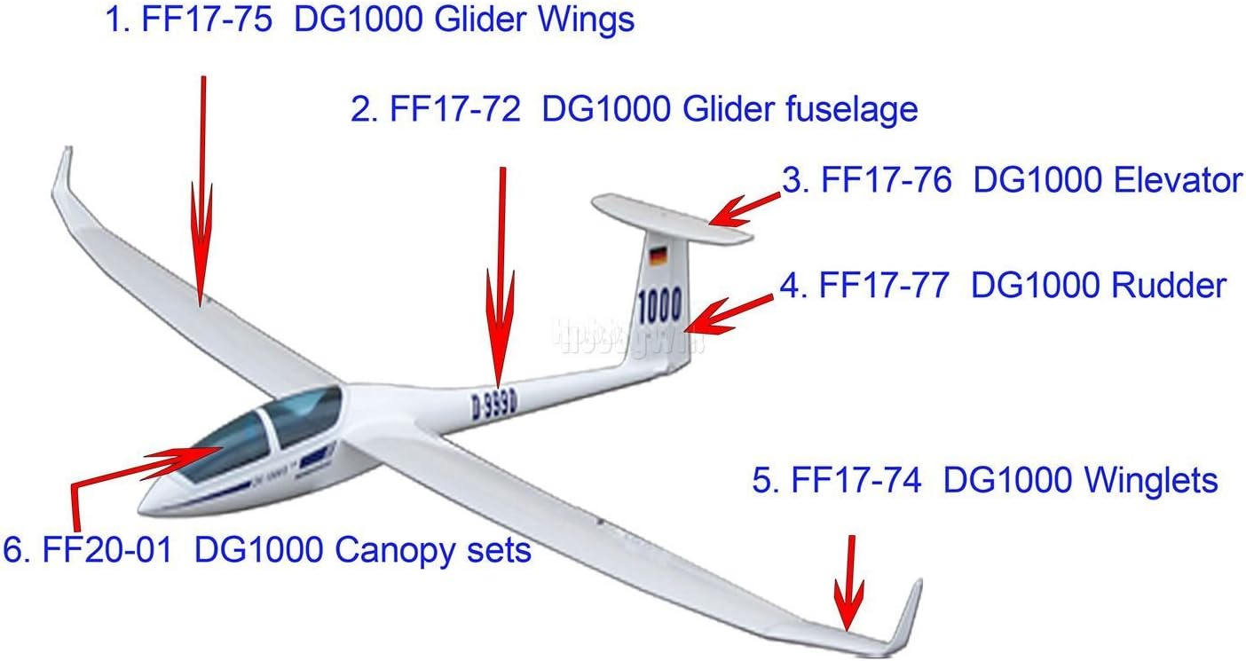 dg 1000 rc glider