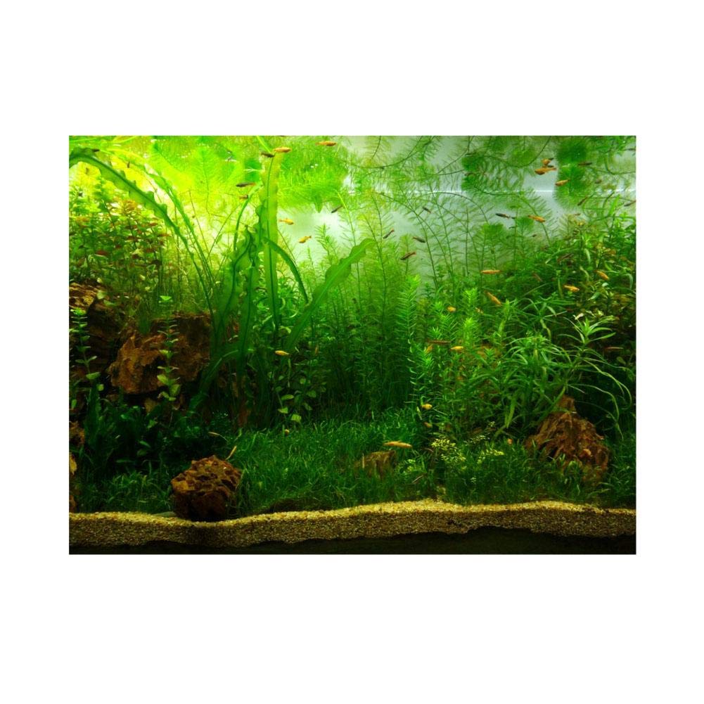 Aquarium Fish Tank Background Poster PVC Adhesive Decor Paper Green Water Grass Aquatic Style Like Real(122 * 61cm)