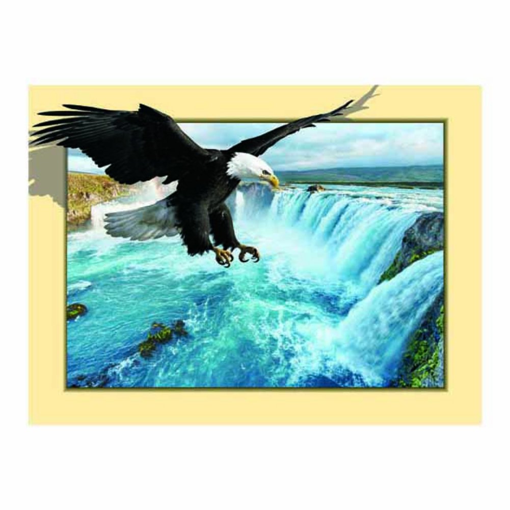 Adler Malen Für Kinder