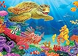 Undersea Turtle