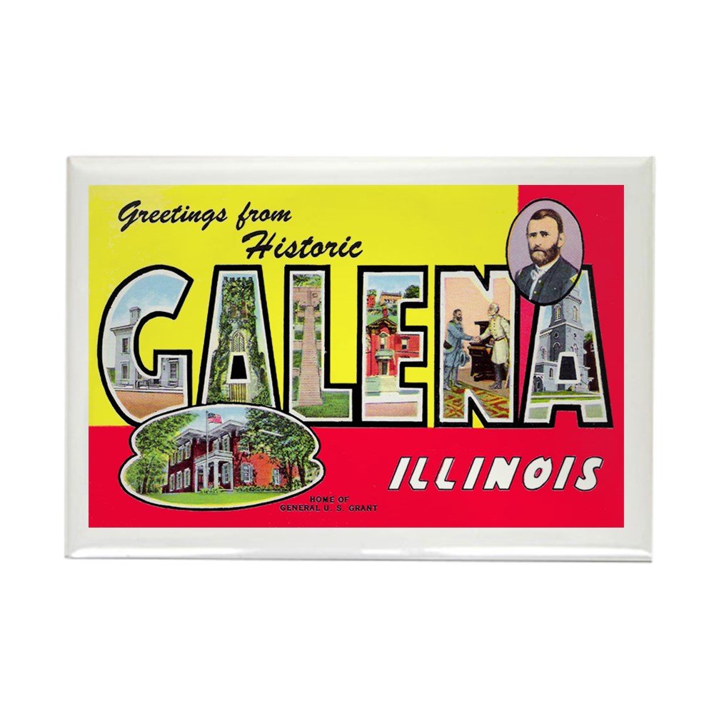Which Is The Best Refrigerator Magnet Illinois Collection