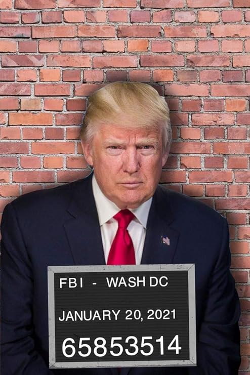 Amazon.com: Donald Trump Mugshot Funny Political Cool Huge Large Giant  Poster Art 36x54: Posters & Prints